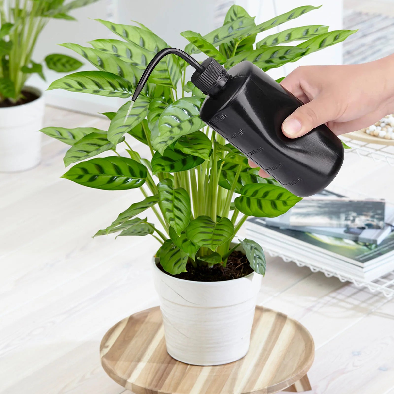 250/500ml Tattoo Spray Bottle