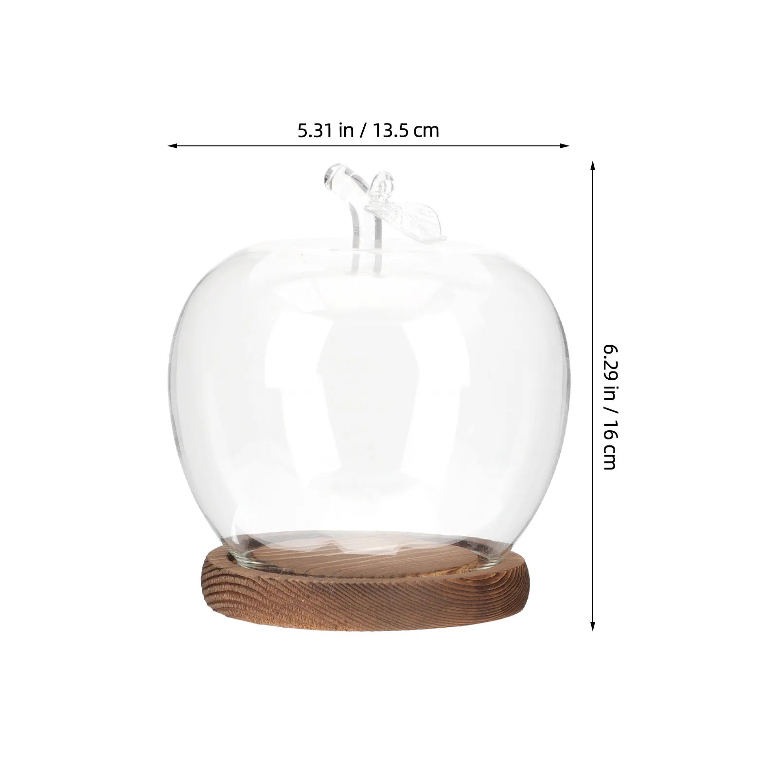 Glass Dome Cover Wood Base