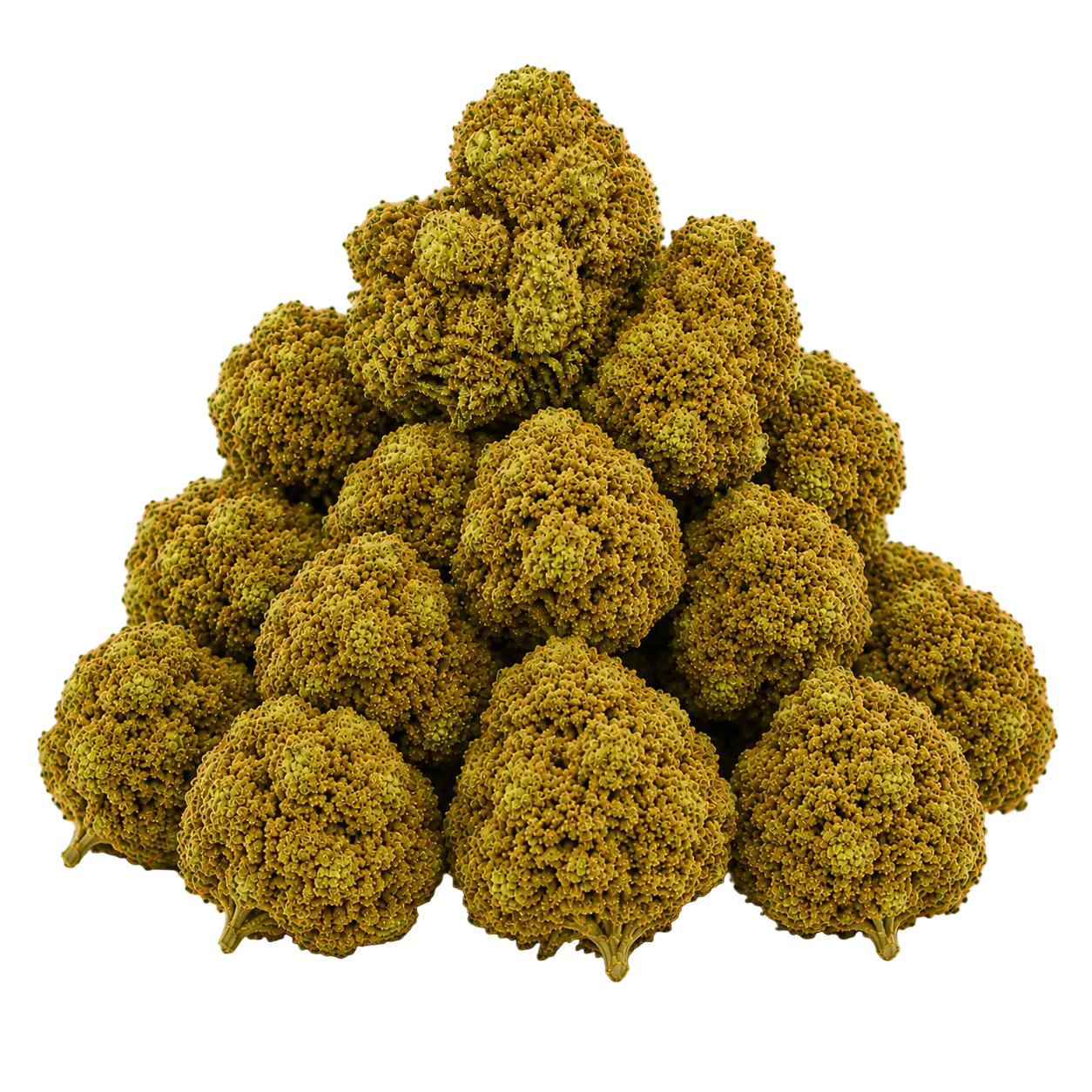 Blue Hawaiian (Hybrid)