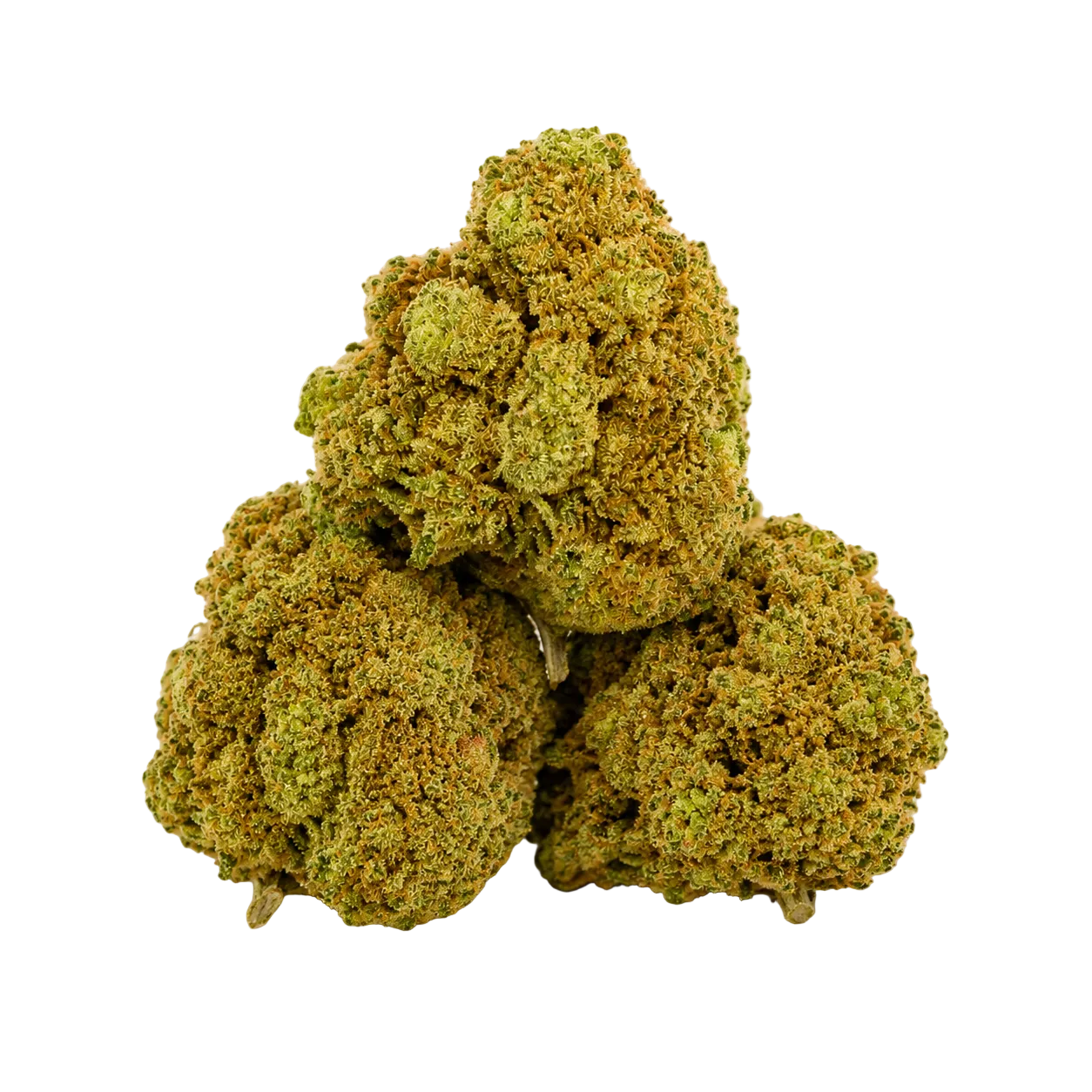 Blue Hawaiian (Hybrid)