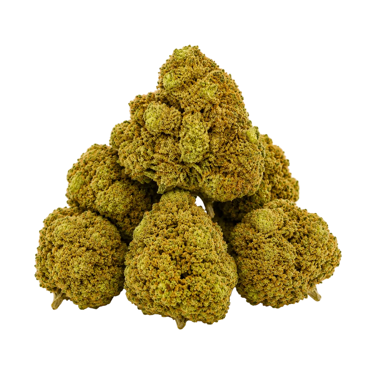 Blue Hawaiian (Hybrid)