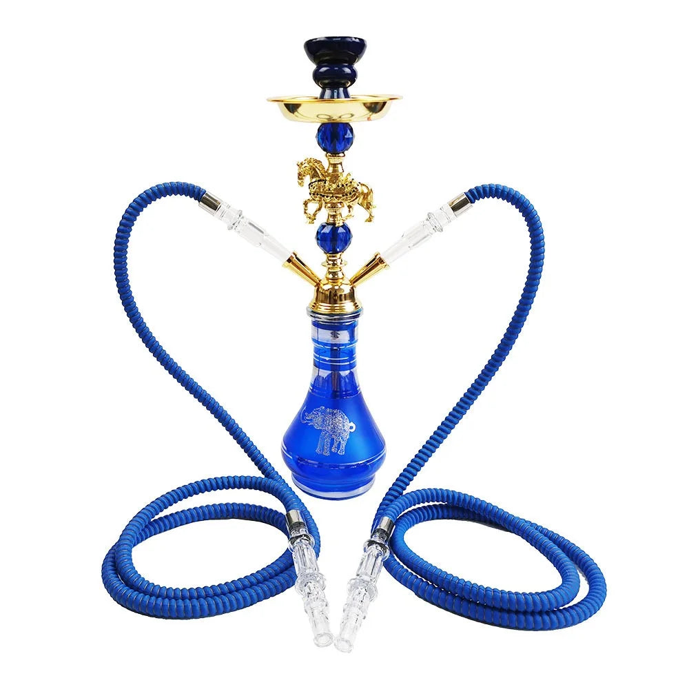 Blue animal-shaped hookah set for two persons - unique design, enjoy a relaxing time