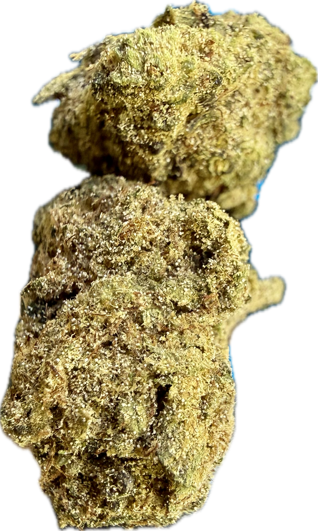 Ripkitty Orange Bitters Delta 8 CBD Hemp Flower