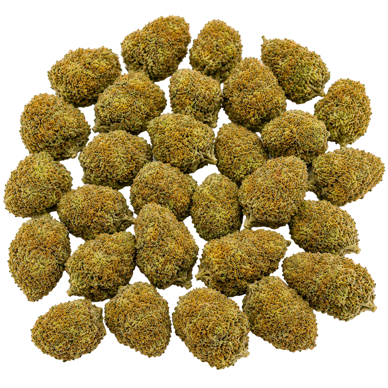 Cheetah Piss (Indica)