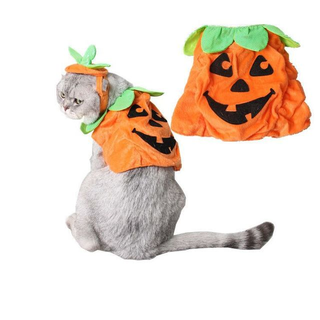 Halloween Pumpkin Cat Costume