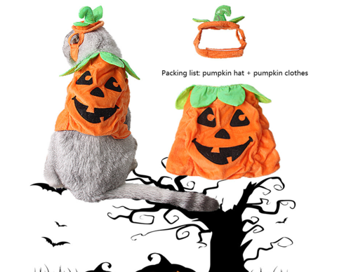 Halloween Pumpkin Cat Costume