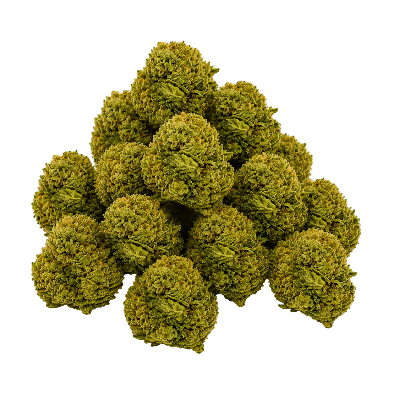 Tangerine Sunrise (Sativa)