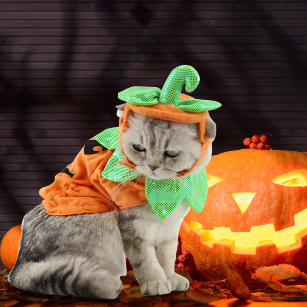 Halloween Pumpkin Cat Costume