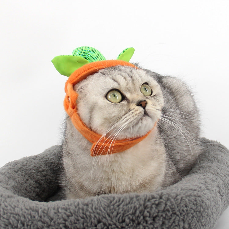 Halloween Pumpkin Cat Costume