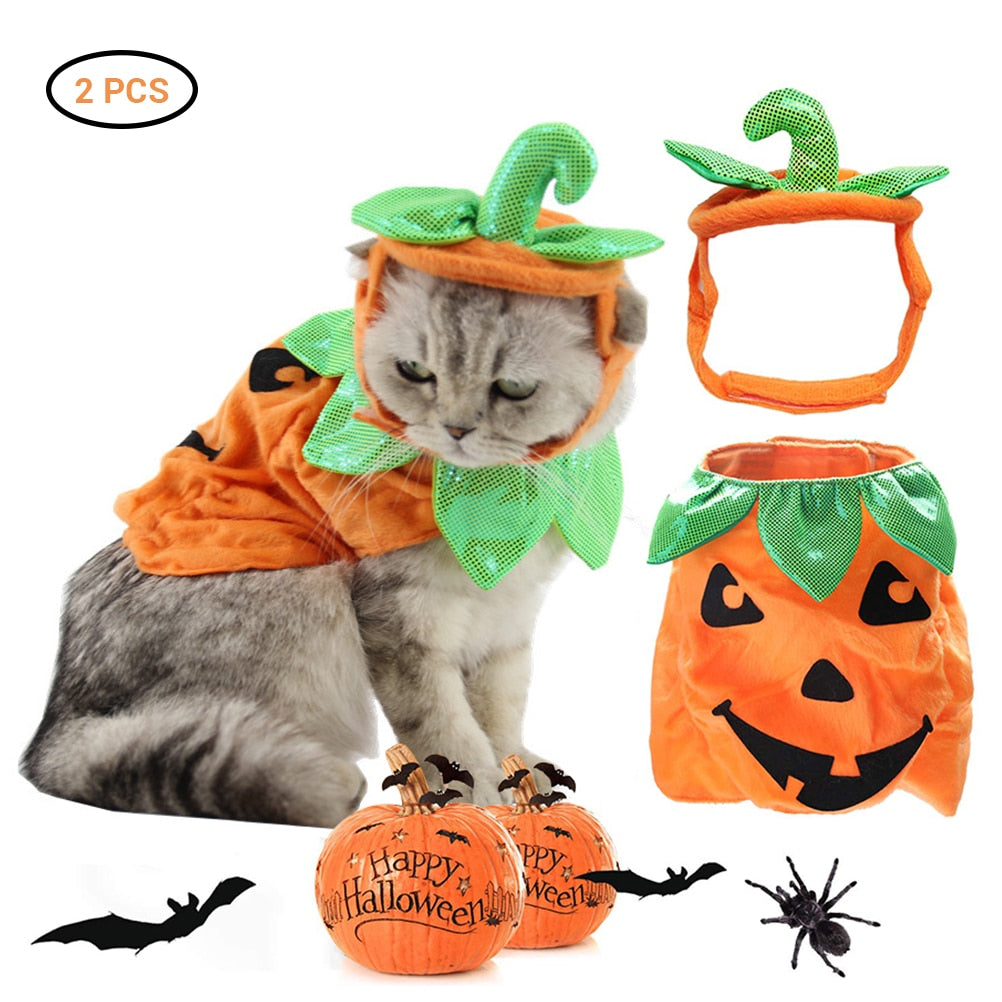 Halloween Pumpkin Cat Costume
