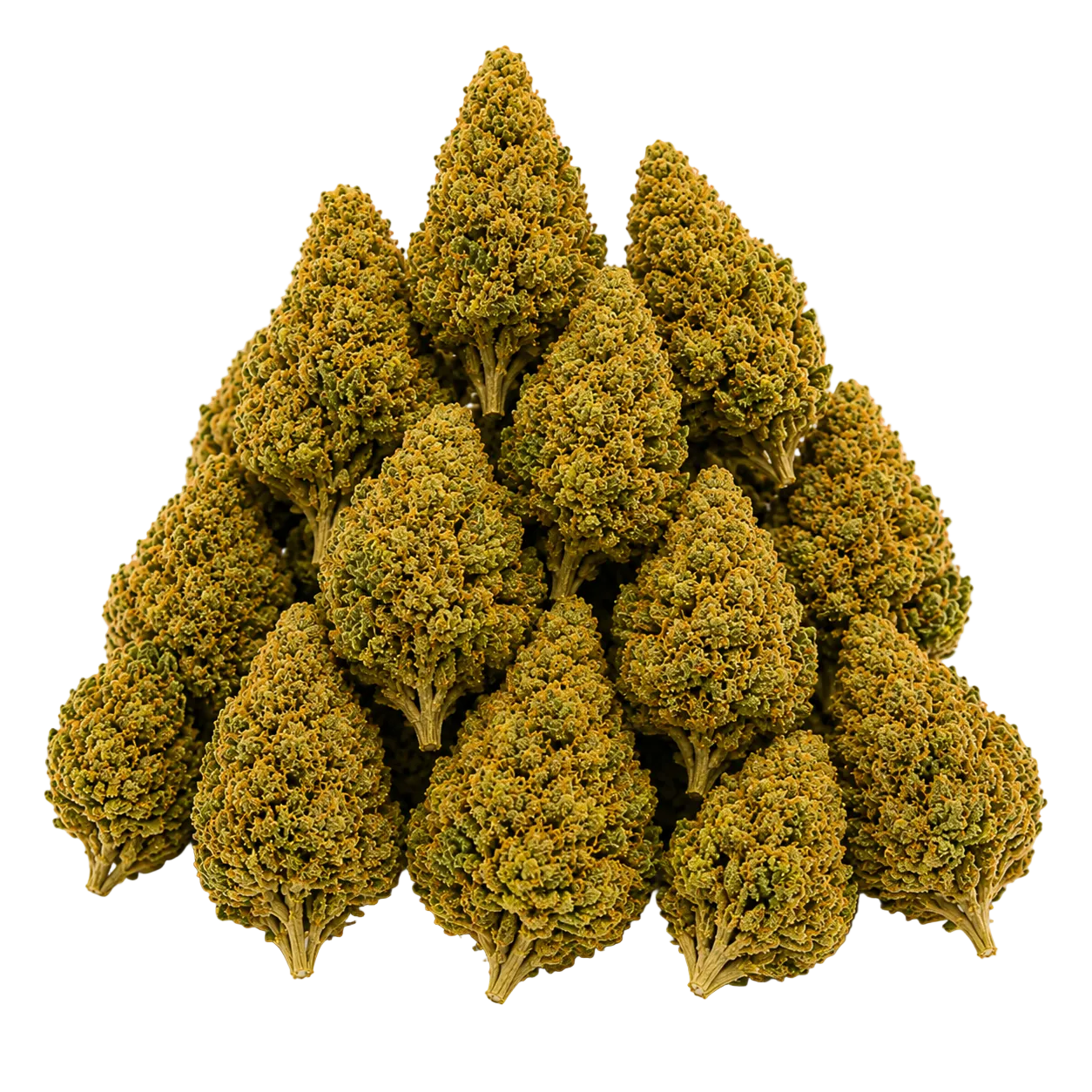 Vanilla Ice (Hybrid Indica-Dominant)