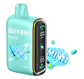 Geek Bar Pulse – Mintz Edition Disposable