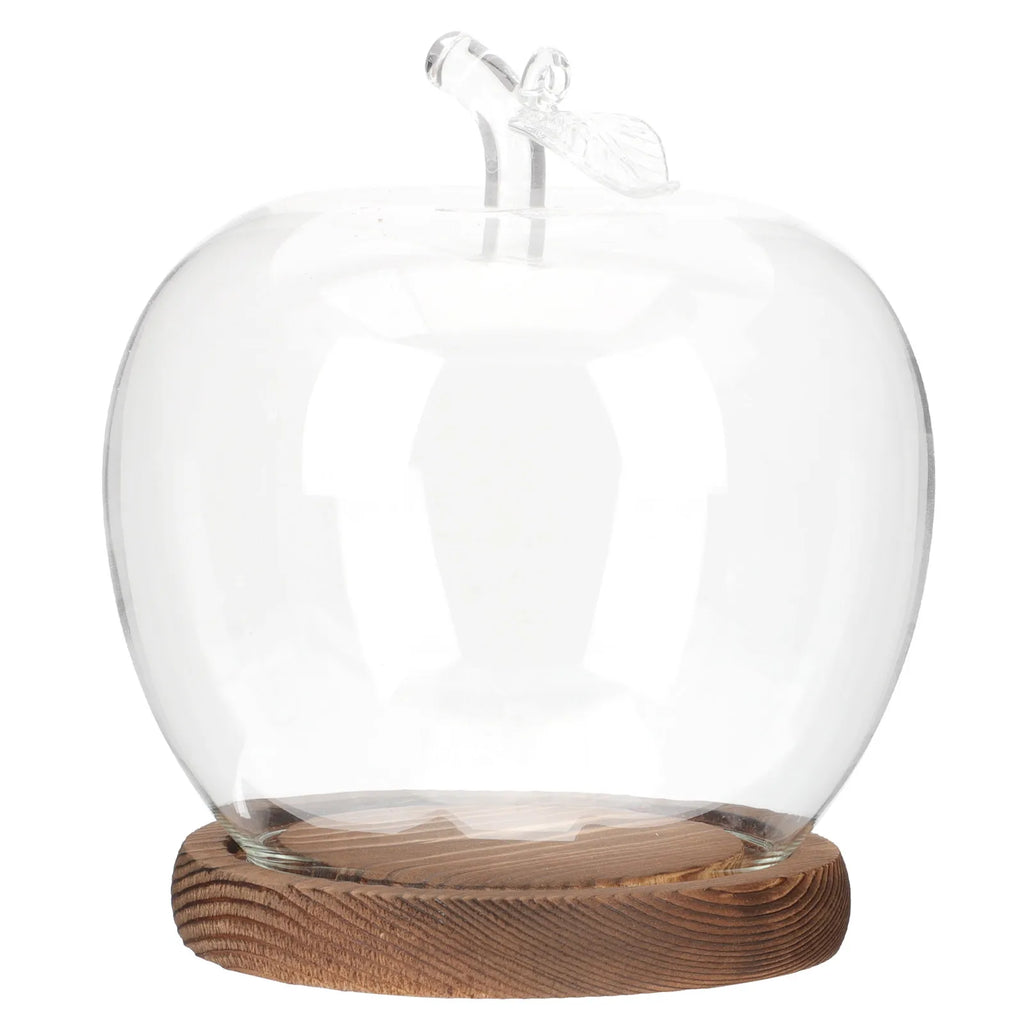 Glass Dome Cover Wood Base