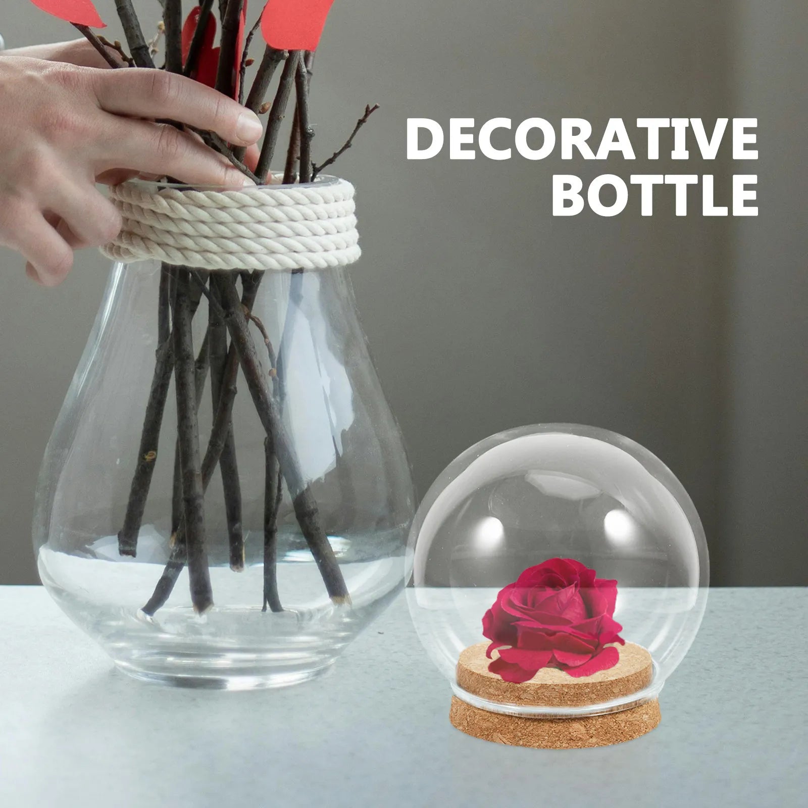 5Pcs Eternal Flower Glass Dome