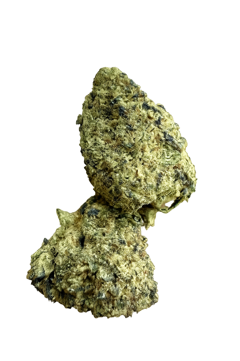 Ripkitty Orange Bitters Delta 8 CBD Hemp Flower
