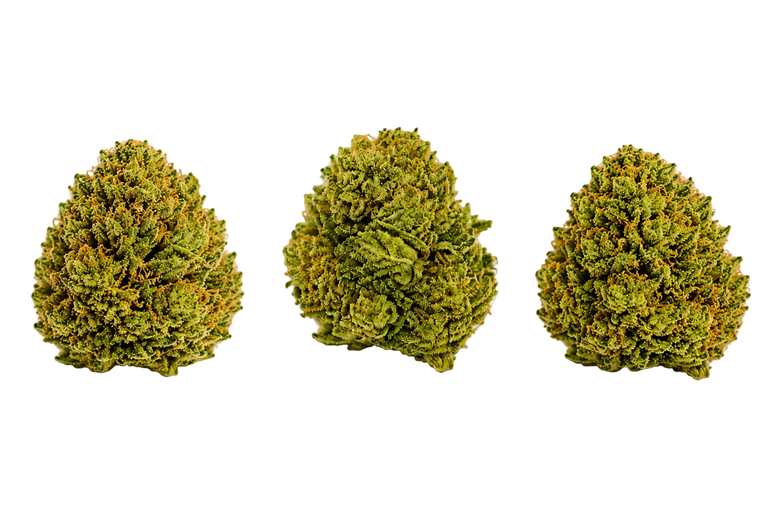 Tangerine Sunrise (Sativa)