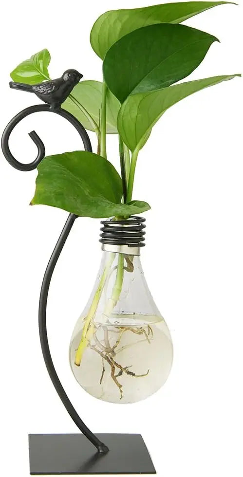 Desktop Glass Planter Hydroponics Vase