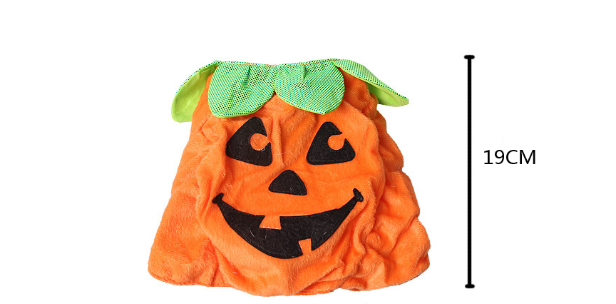 Halloween Pumpkin Cat Costume