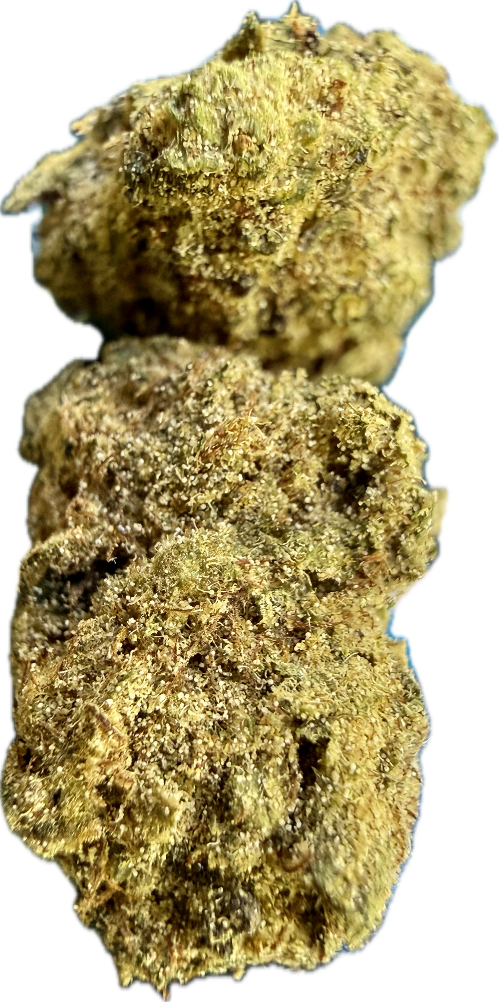 Ripkitty Orange Bitters Delta 8 CBD Hemp Flower
