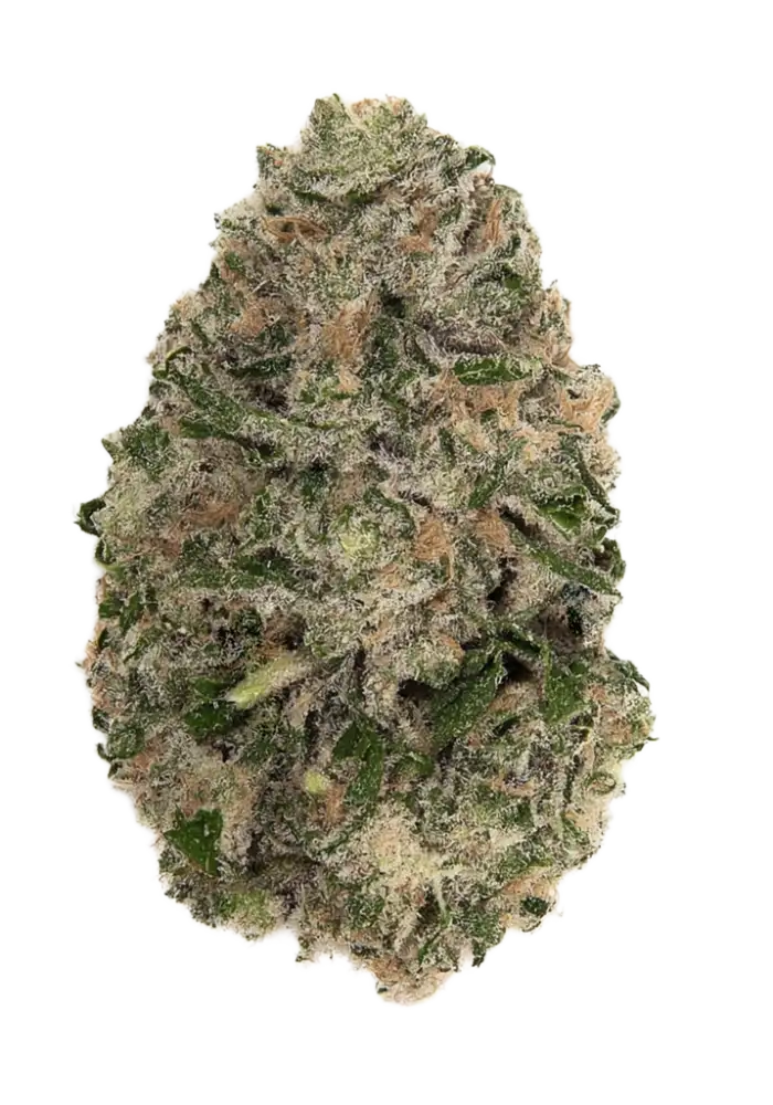 THC-A Flower Fruit Stripe (Select)