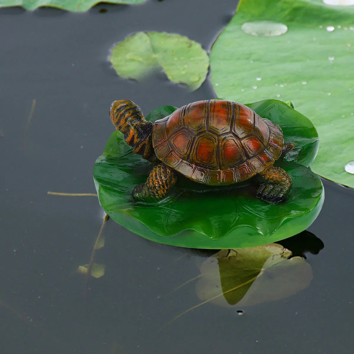 Brown Turtle Craft