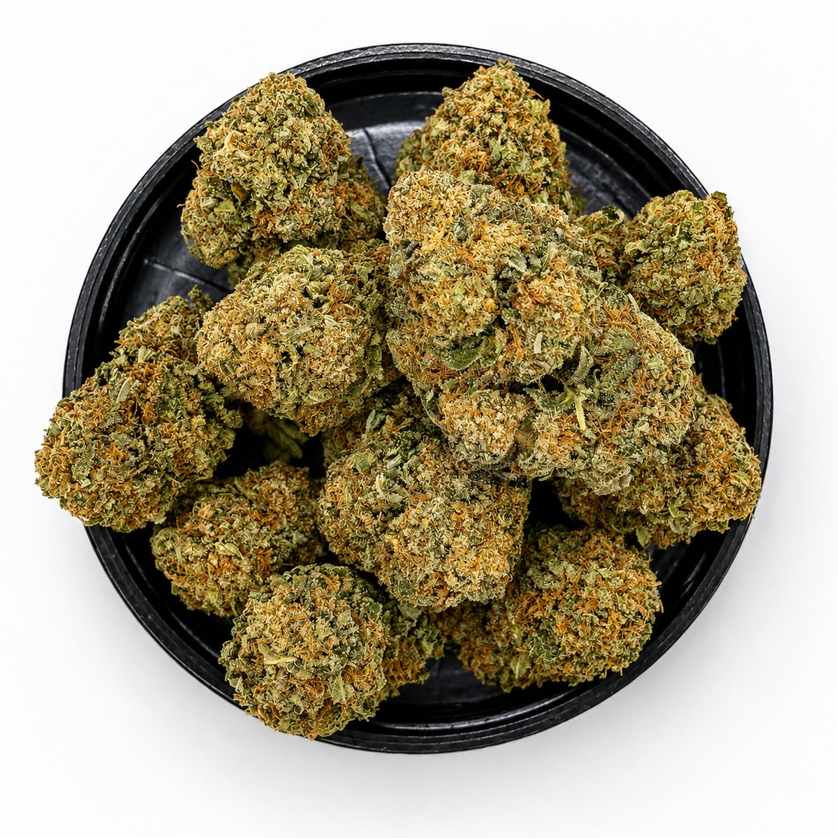 Illuminati (Hybrid)