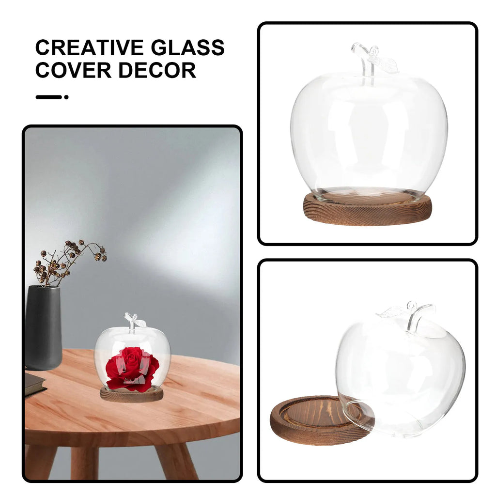 Glass Dome Cover Wood Base
