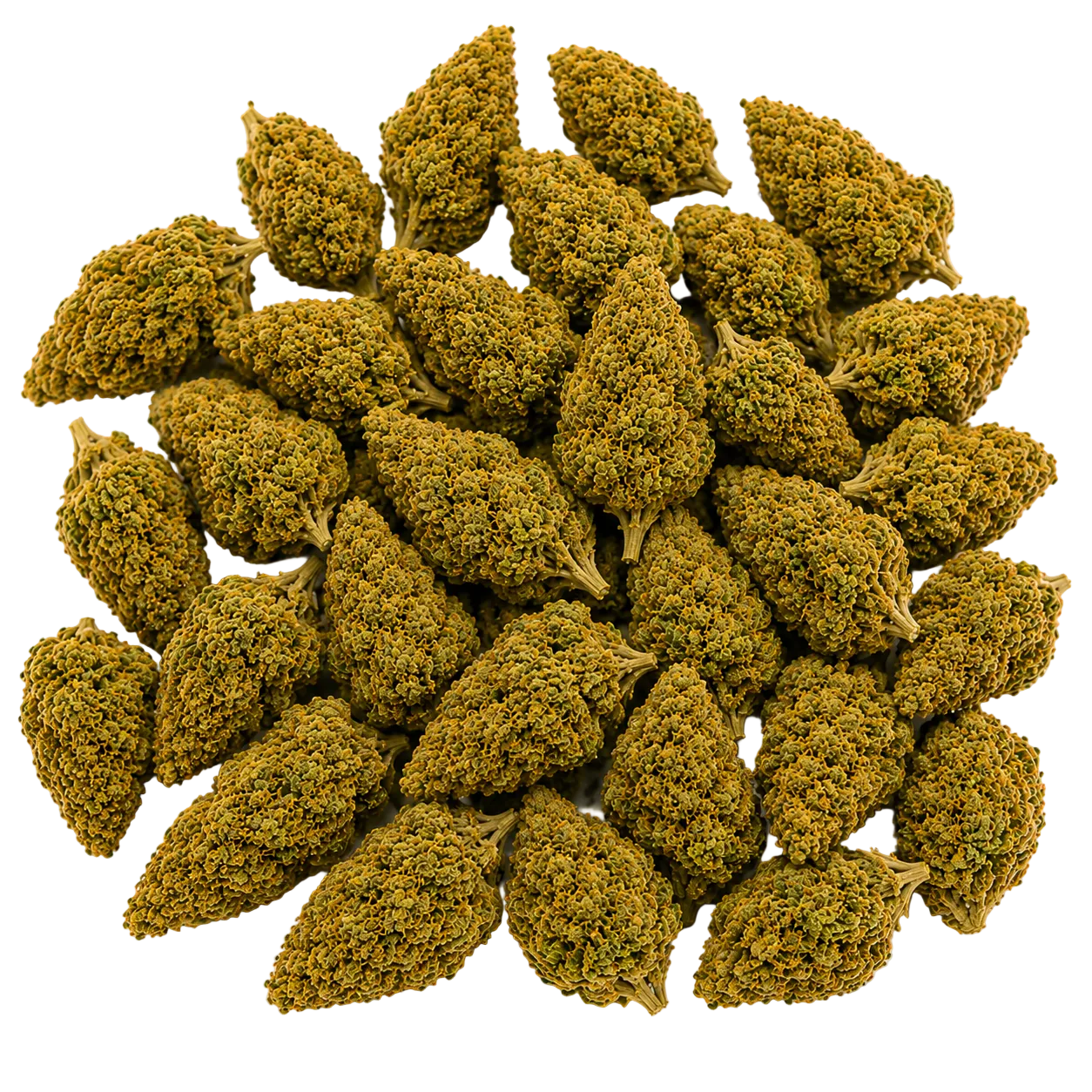 Vanilla Ice (Hybrid Indica-Dominant)