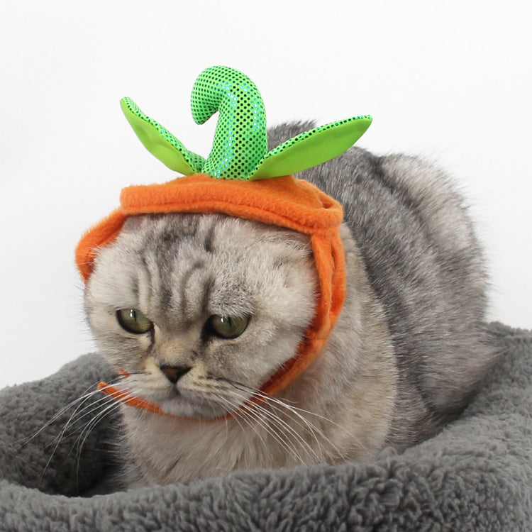 Halloween Pumpkin Cat Costume