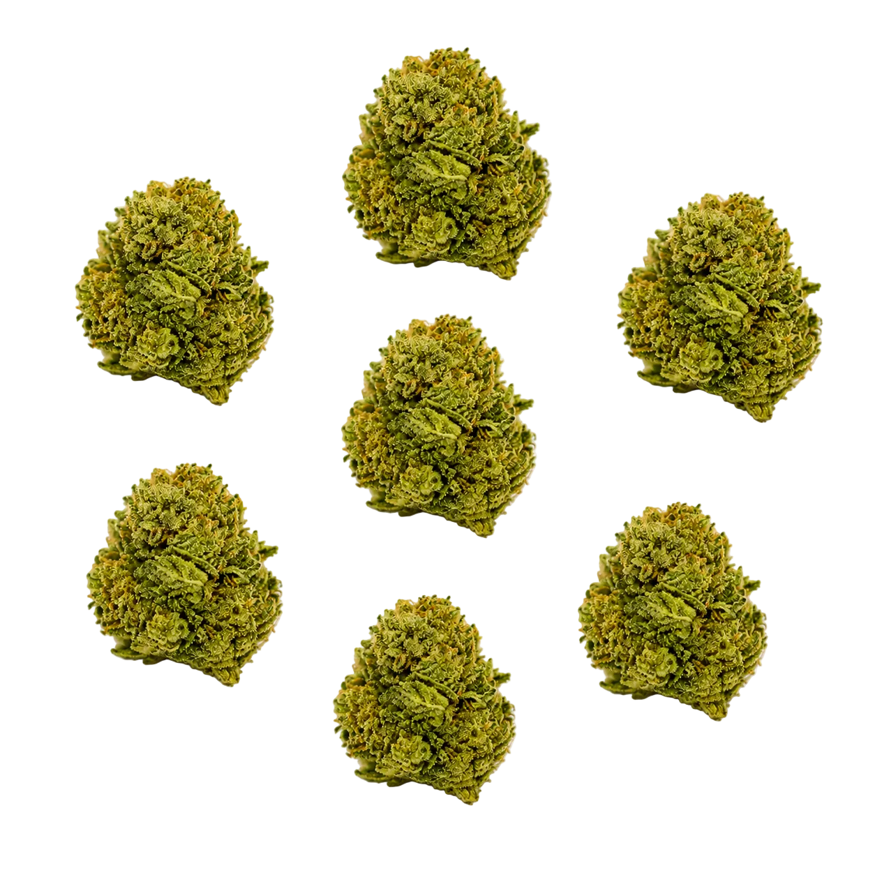 Tangerine Sunrise (Sativa)