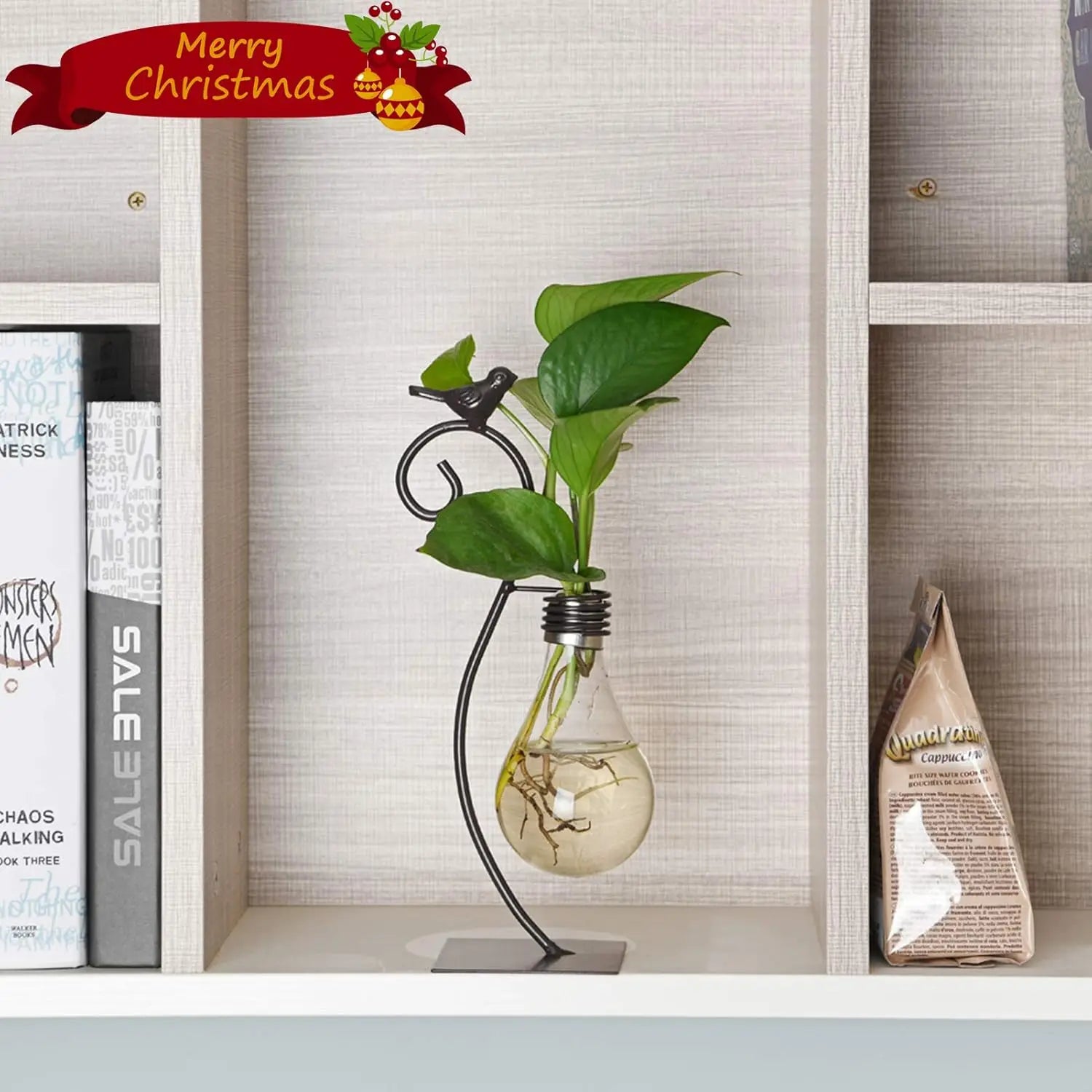 Desktop Glass Planter Hydroponics Vase