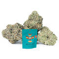 Revelry Pink Guava THCA Flower (AAA Indoor)