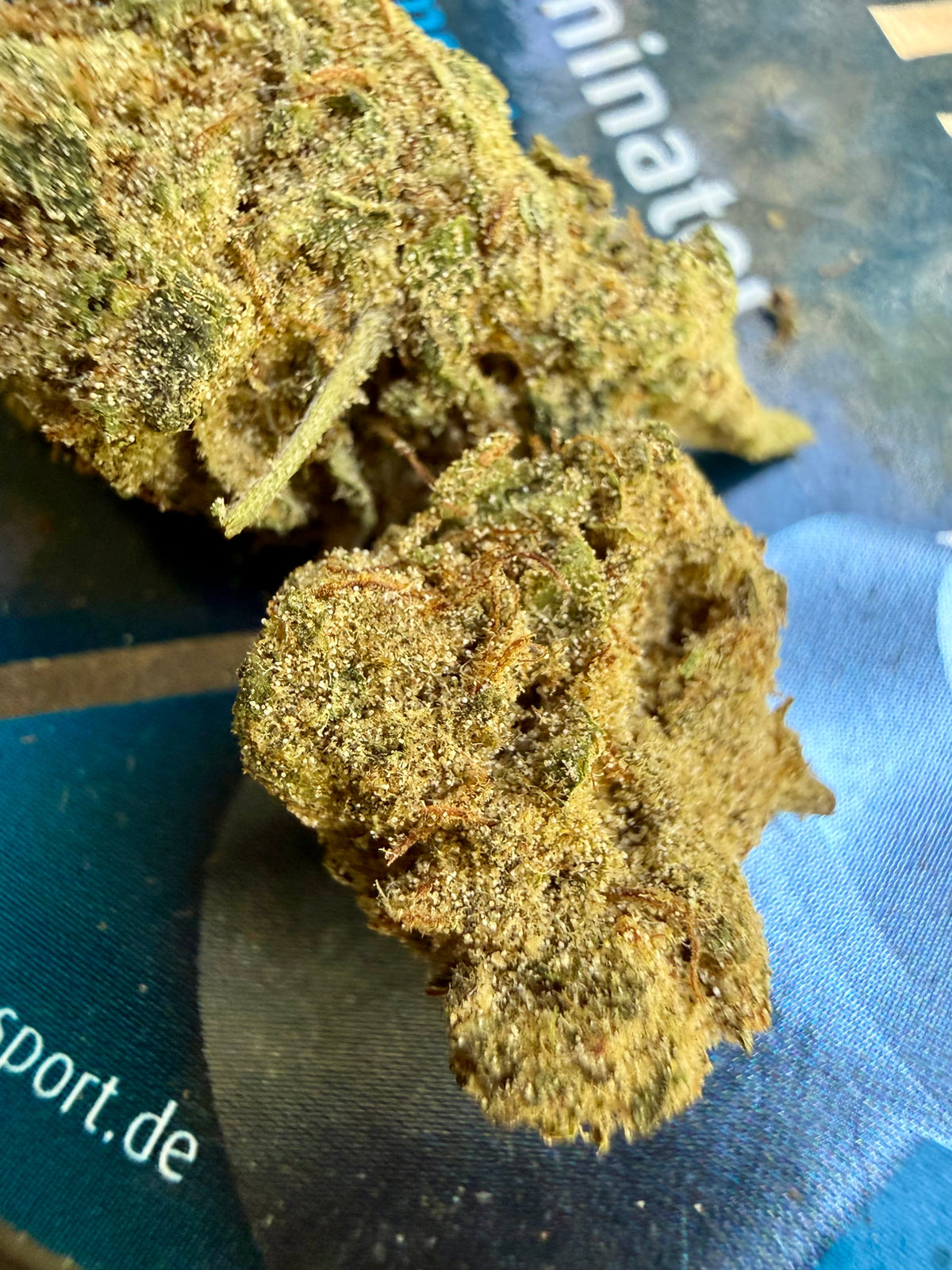 Ripkitty SSS (Super Sour Suver) Delta 8 CBD Hemp Flower