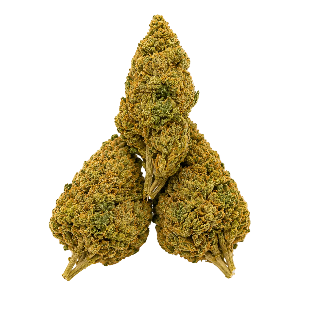 Vanilla Ice (Hybrid Indica-Dominant)