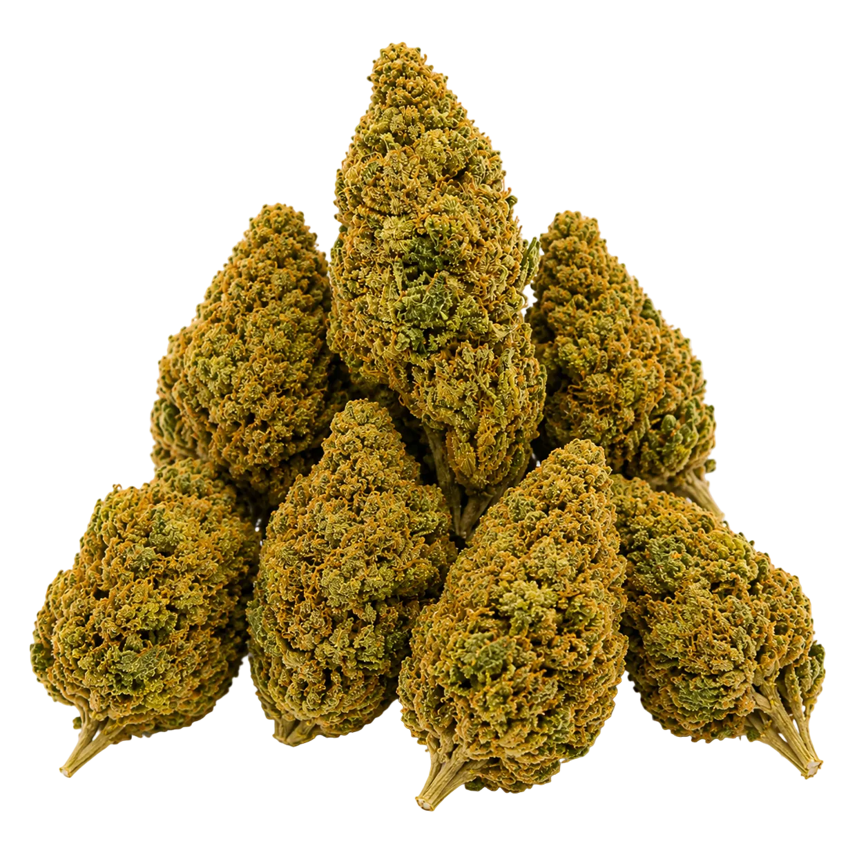 Vanilla Ice (Hybrid Indica-Dominant)