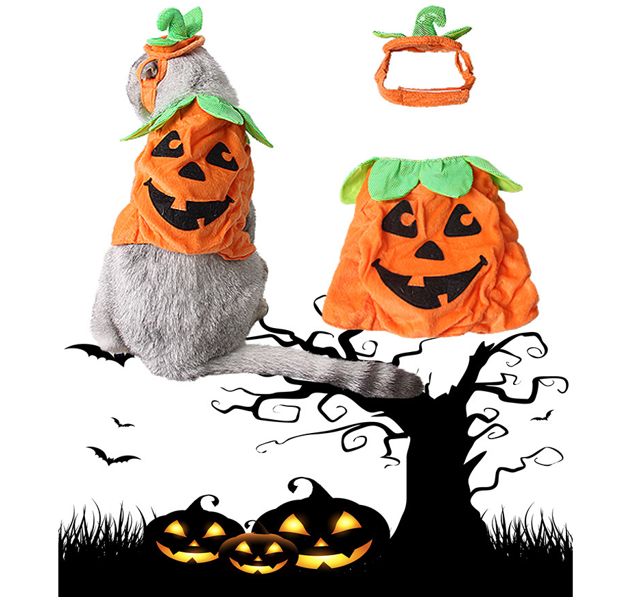 Halloween Pumpkin Cat Costume