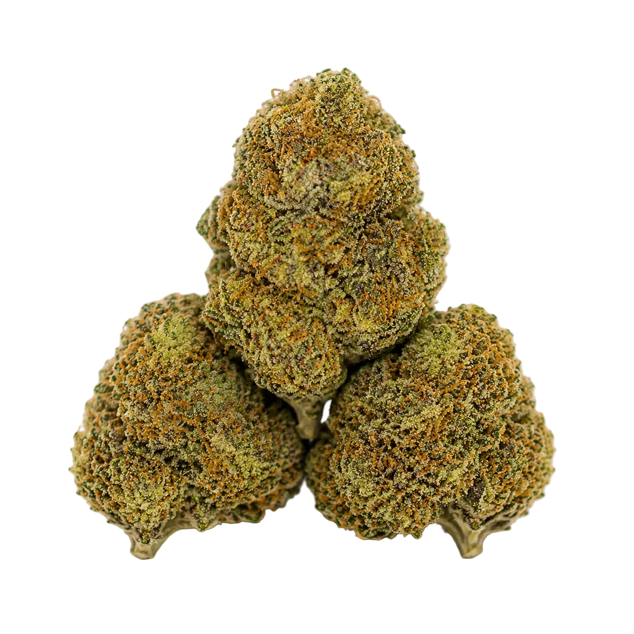 Cheetah Piss (Indica)