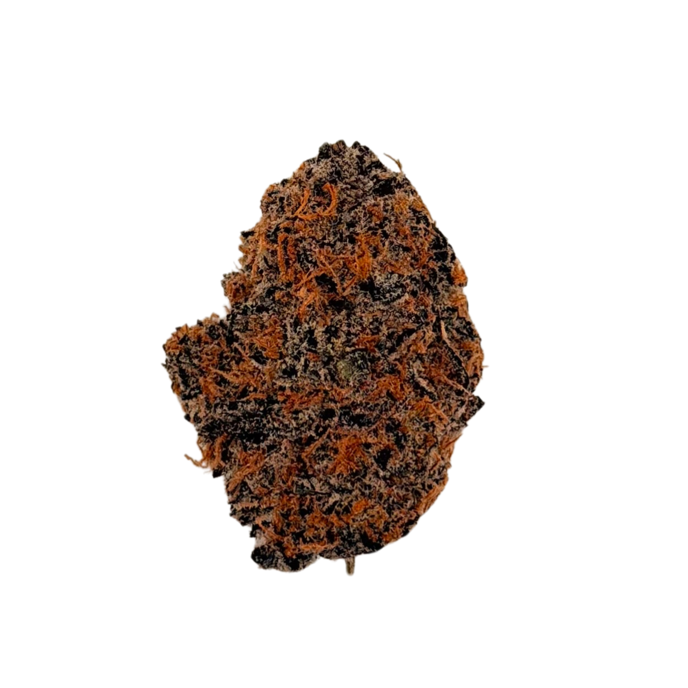 Atomic Beltz (Hybrid)