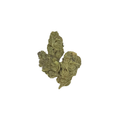 Black Cherry Gelato (Indica)