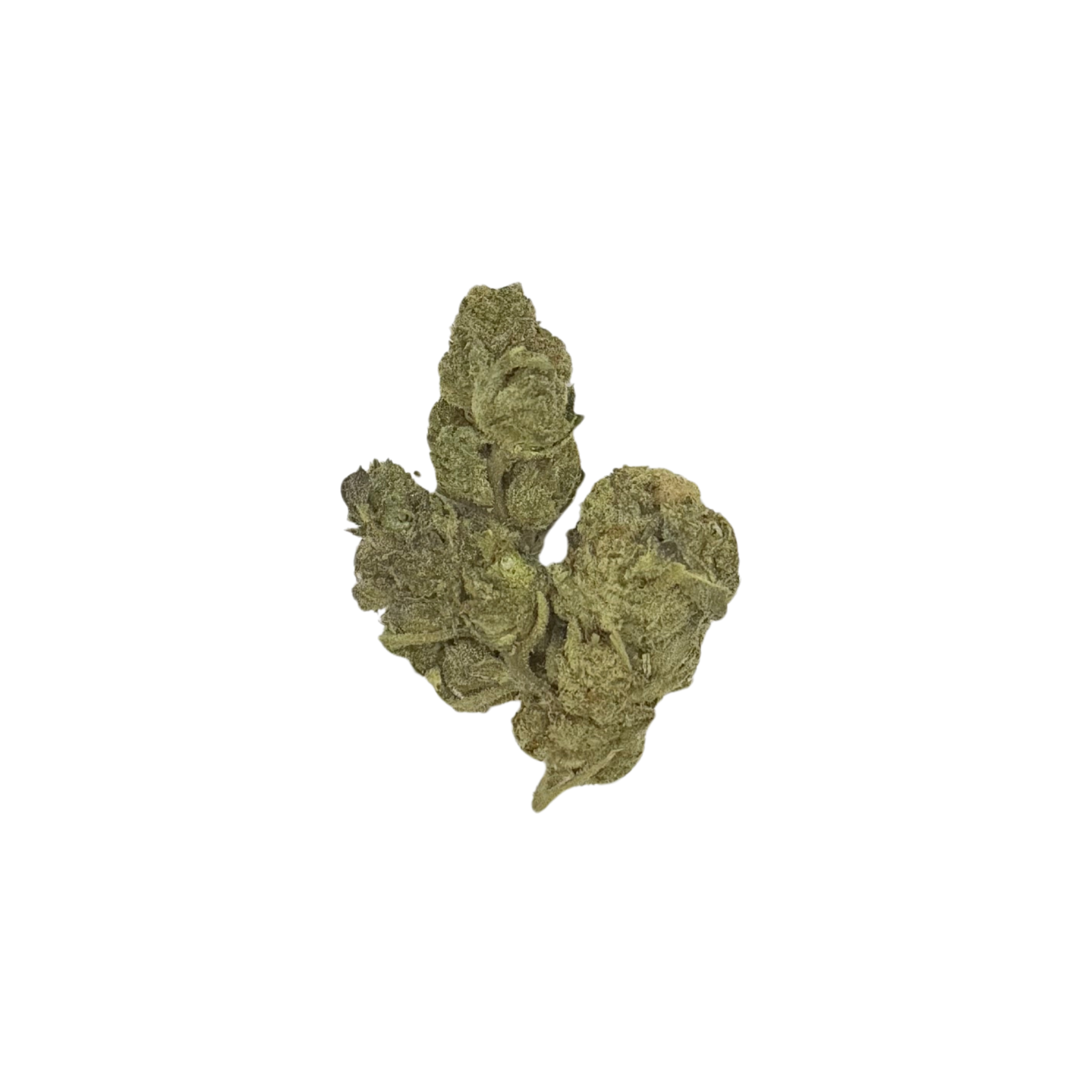 Black Cherry Gelato (Indica)