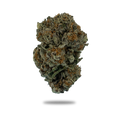 Cheetah Piss Exotic THC-A Flower