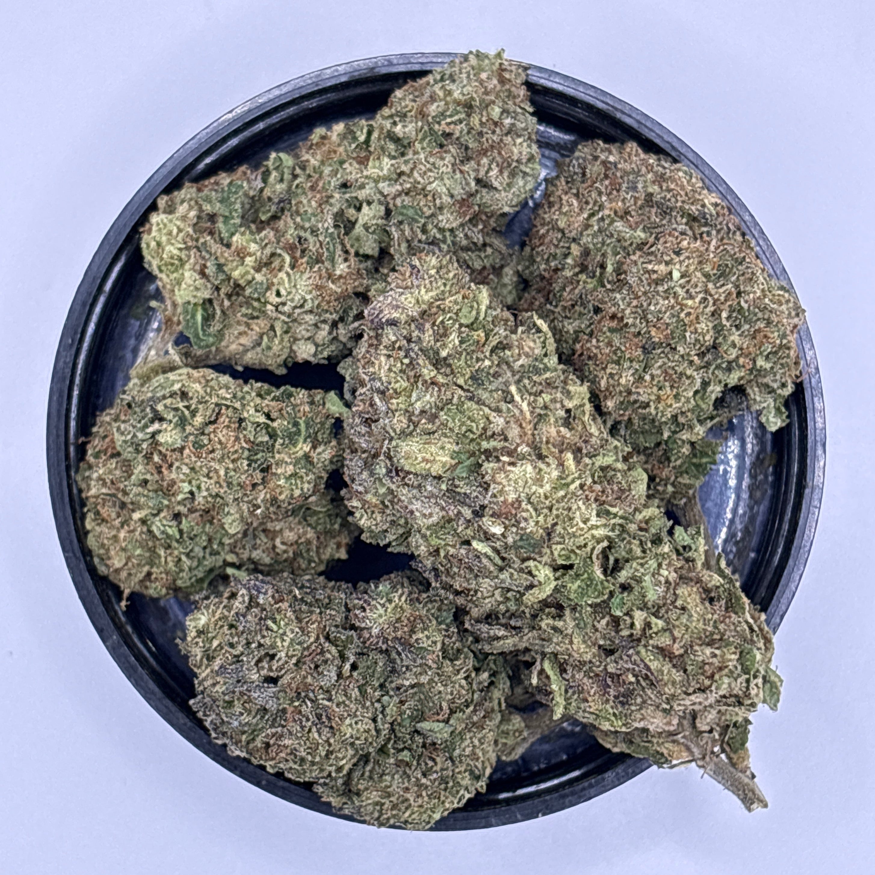 Ego Checker (Indica)