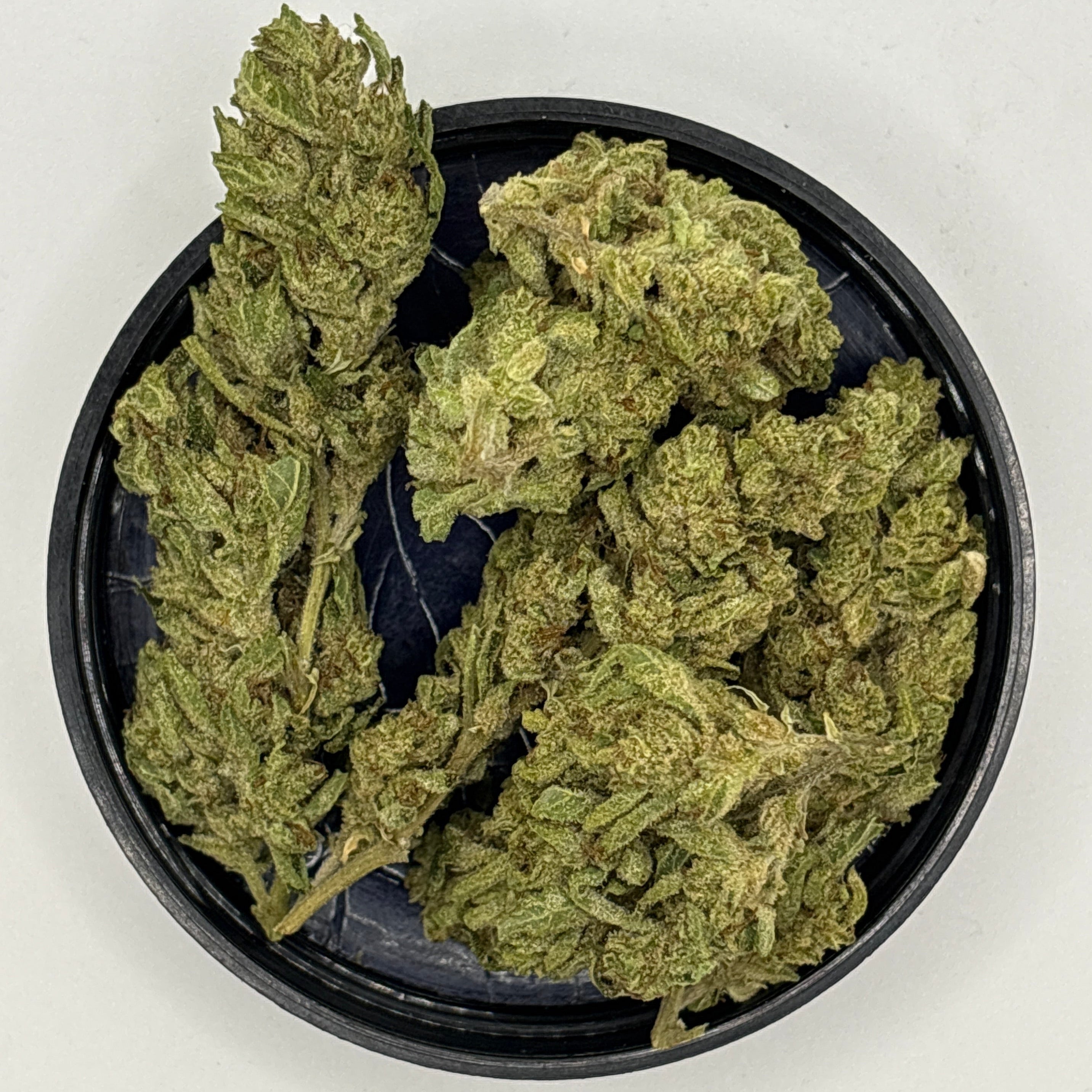 El Chivo (Sativa)