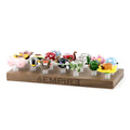 Empire Glassworks Wooden Bowl Display Piece