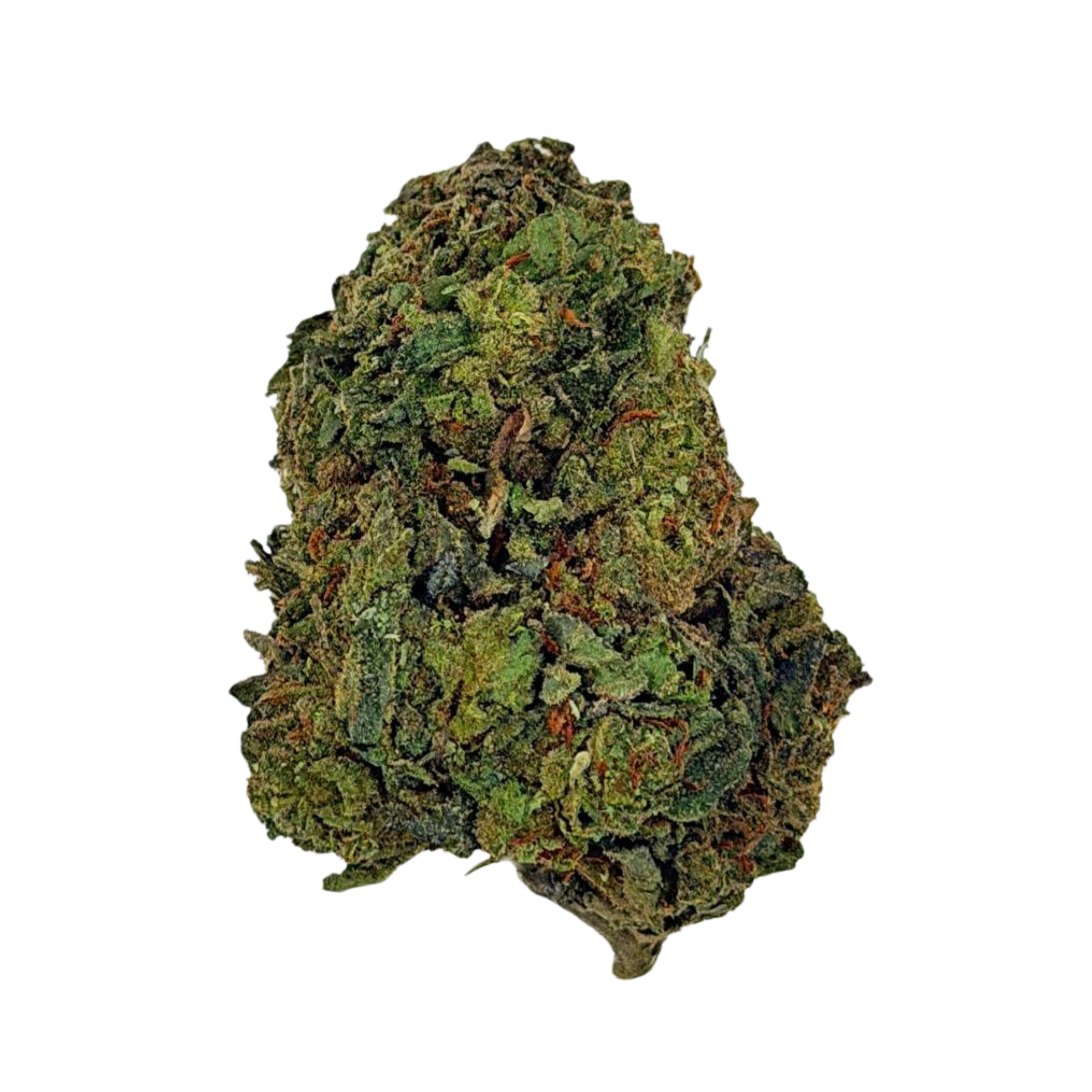 Gelato 41 (Sativa)