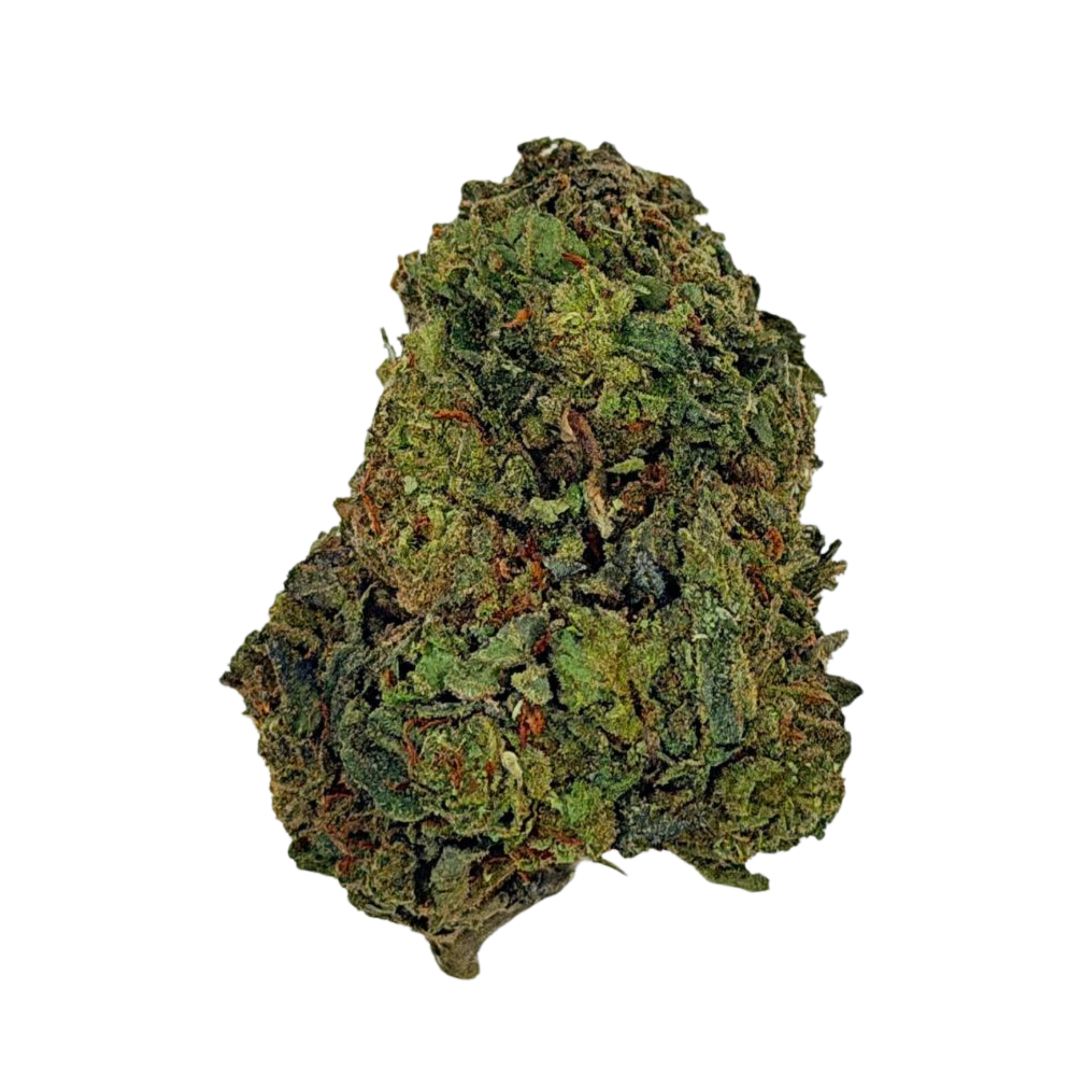 Gelato 41 (Sativa)