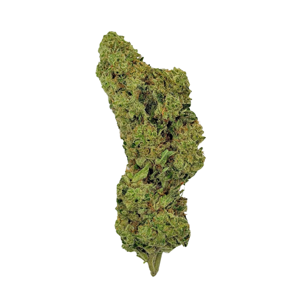 Glitter Bomb (Hybrid)