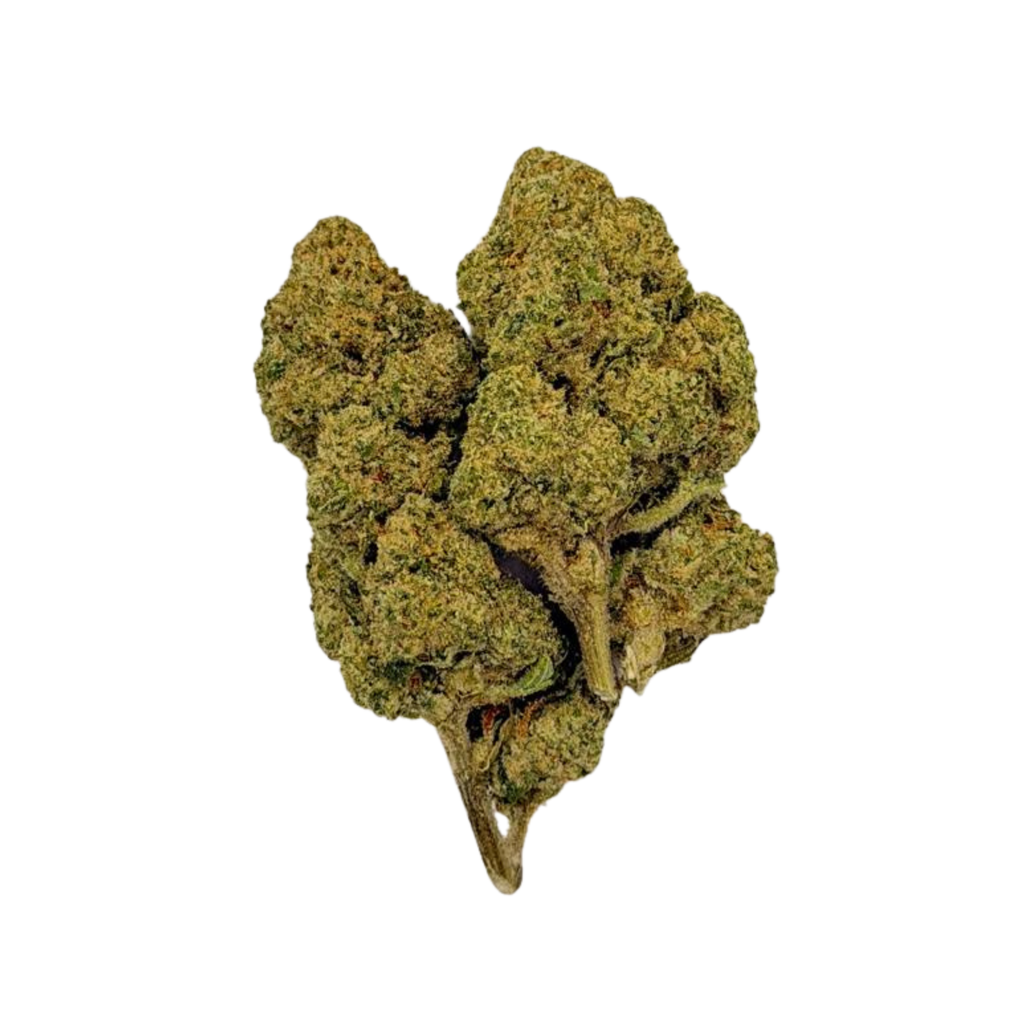 GUMBO (Indica)