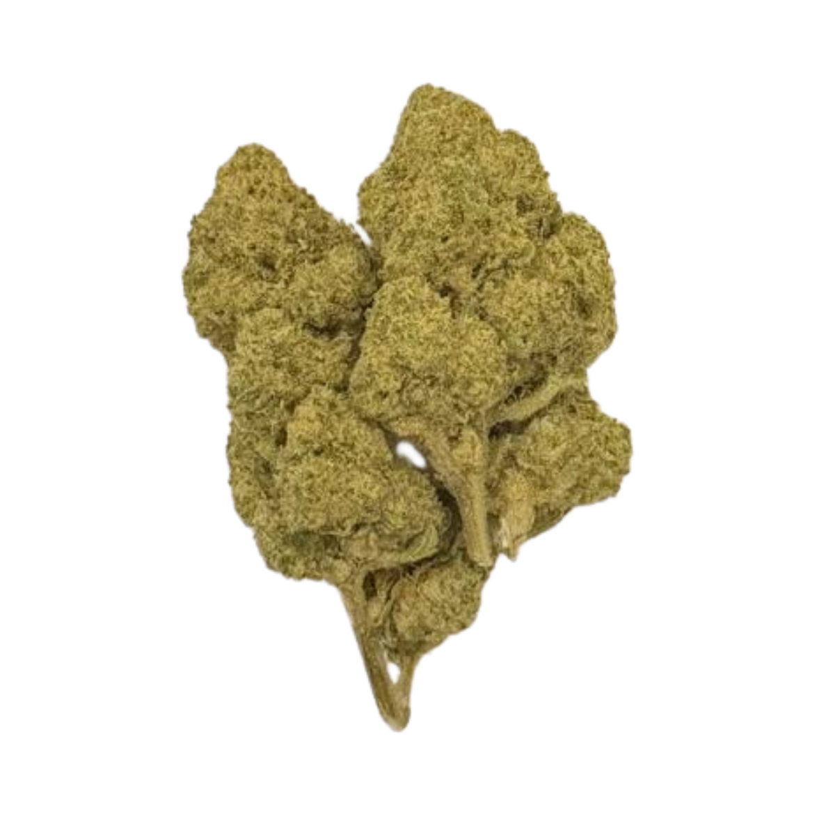 GUMBO (Indica)