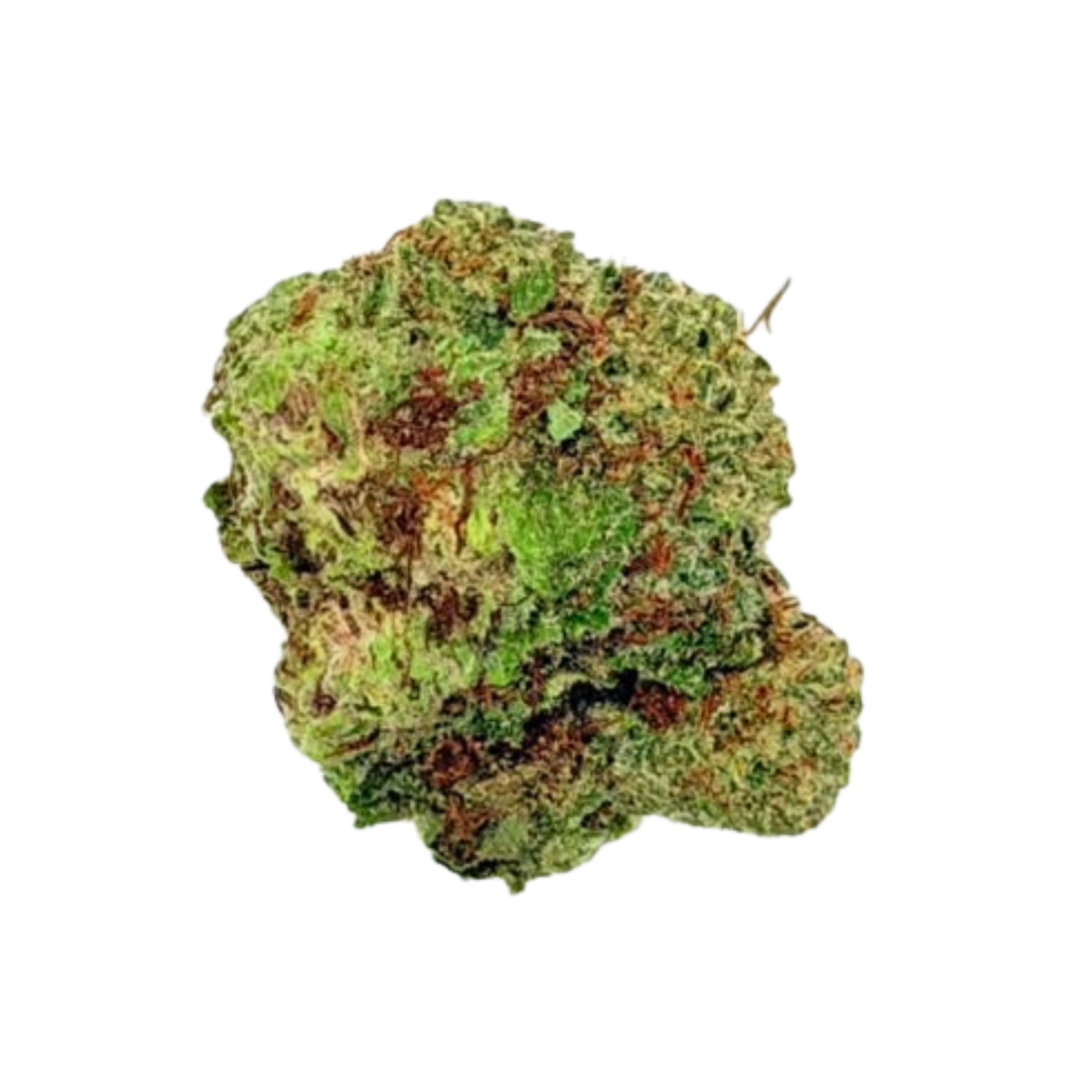 Gelonade (Sativa)